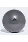 resource/product-images/AdidasMiniPilatesBall3.jpg