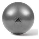 resource/product-images/AdidasSwissBall3.jpg
