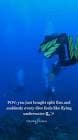 resource/product-images/ColumbiaDivingFins2.jpg