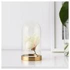 resource/product-images/IKEABEGVNING2.jpg