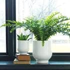 resource/product-images/IKEADROMSK2.jpg