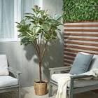 resource/product-images/IKEAFEJKA3.jpg