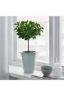 resource/product-images/IKEAFNITTRIG2.jpg