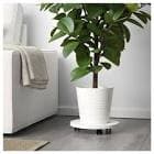 resource/product-images/IKEAMUSKOT2.jpg