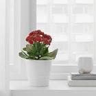 resource/product-images/IKEAMUSKOT3.jpg