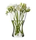 resource/product-images/IKEAVASEN3.jpg