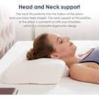 resource/product-images/KoctasOrthoSupport2.jpg