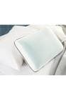 resource/product-images/MadameCocoMemoryFoam3.jpg