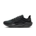 resource/product-images/NikePegasus2.jpg