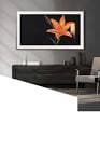 resource/product-images/SamsungTheFrameQLED4K3.jpg