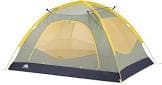 resource/product-images/TheNorthFaceHomesteadRoomy2Cadir2.jpg